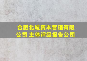 合肥北城资本管理有限公司 主体评级报告公司